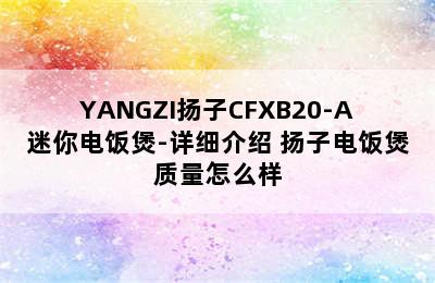 YANGZI扬子CFXB20-A迷你电饭煲-详细介绍 扬子电饭煲质量怎么样